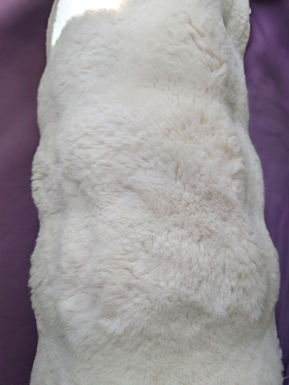 Mon Chateau Faux : Fur Lumbar Pillow Ivory Cream Decorative Throw Pillow